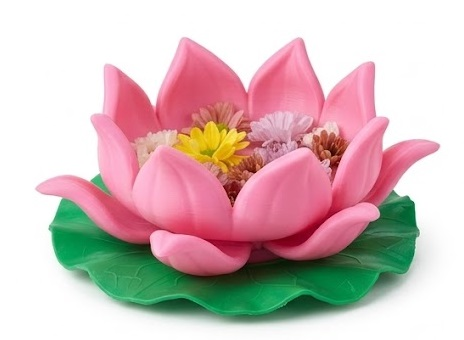 Ảnh sản phẩm 1