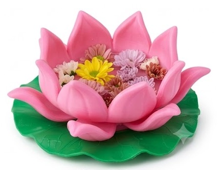 Ảnh sản phẩm 4